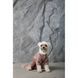 Костюм Pet Fashion Alf для собак бежевий XS2 4823082427413 4823082427413 фото 8