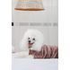 Костюм Pet Fashion Alf для собак бежевий XS2 4823082427413 4823082427413 фото 5