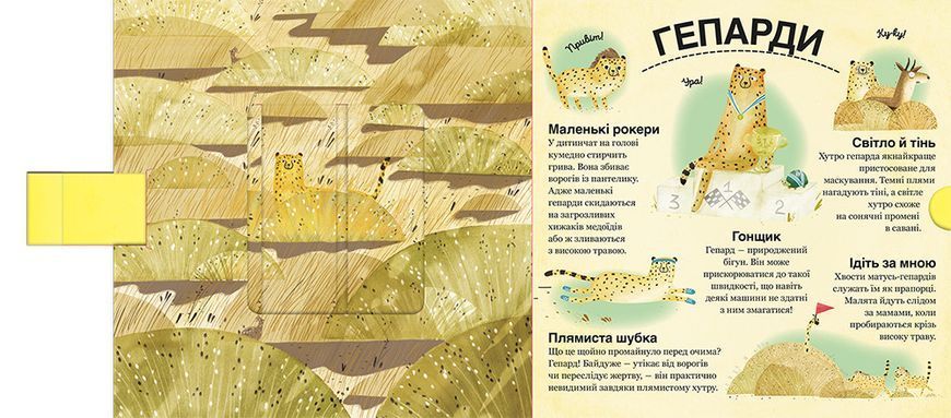 Хто ховається між листям й у воді? ТВЕРДА ОБКЛАДИНКА! Автор Павла Ганачкова 9786177563999 фото