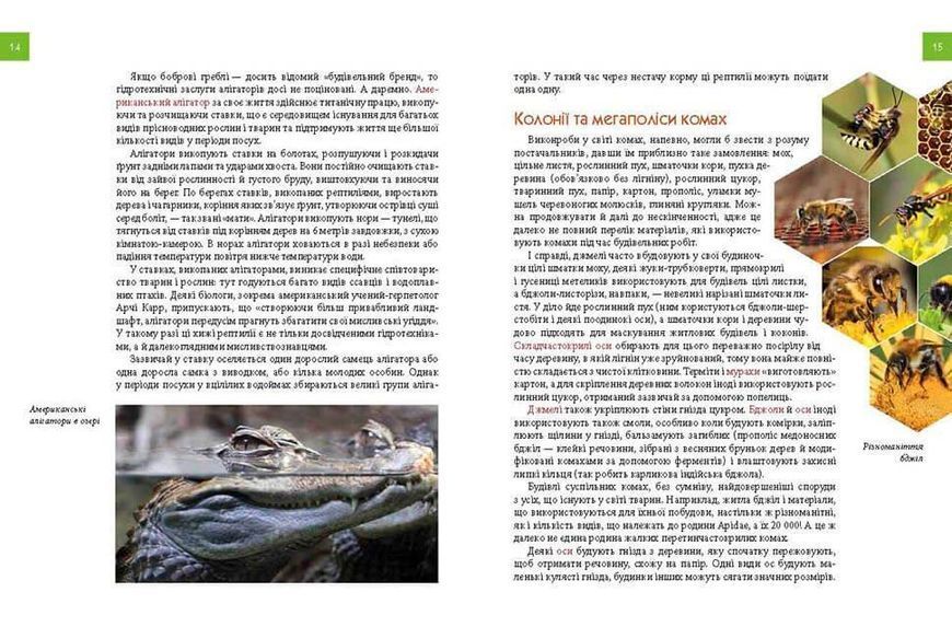 Енциклопедія "Тварини - винахідники і будівельники" Талант Тверда Обкладинка Автор Андрій Гапченко 9789669356048 фото