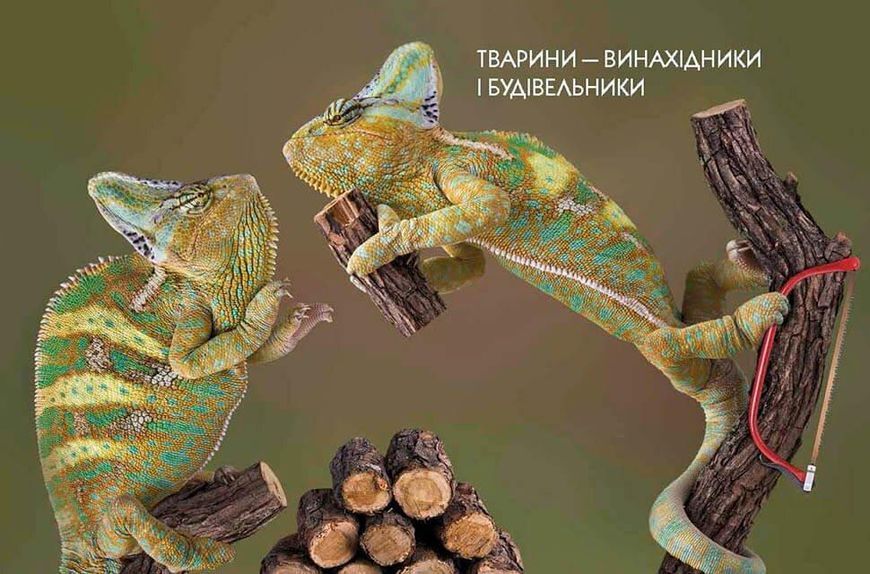 Енциклопедія "Тварини - винахідники і будівельники" Талант Тверда Обкладинка Автор Андрій Гапченко 9789669356048 фото