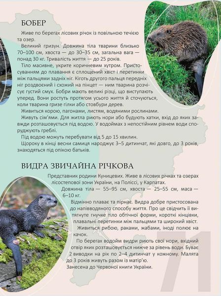 Книга "Перлини природи України" Талант Тверда Обкладинка Автор Тетяна Станкевич 9789669890764 фото