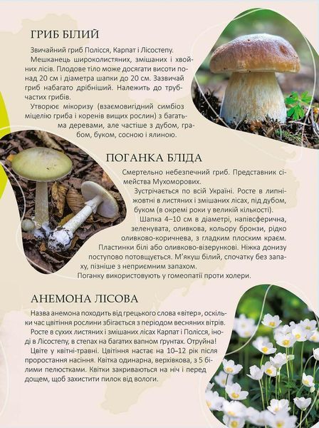 Книга "Перлини природи України" Талант Тверда Обкладинка Автор Тетяна Станкевич 9789669890764 фото