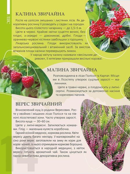 Книга "Перлини природи України" Талант Тверда Обкладинка Автор Тетяна Станкевич 9789669890764 фото