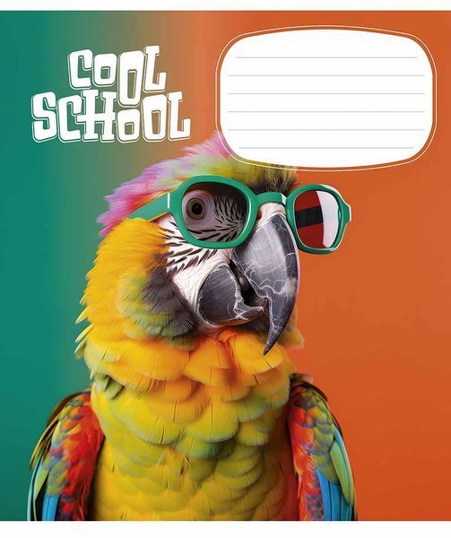 Набір 5 шт, зошит учнівський, Cool School (ВД-лак). Зошит Star у лінію 24арк. 3307 4820006472115 4820006472115_12 фото