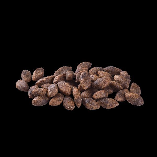 Корм сухий Brit Care Dog Grain-free Sensitive для собак з чутливим травленням та харчовою непереносимістю беззерновий з олениною 8595602559152 8595602559152 фото