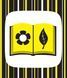 Контрастна книжка для немовляти "Ку-ку-сі" 0+ 9789667510640 фото 5