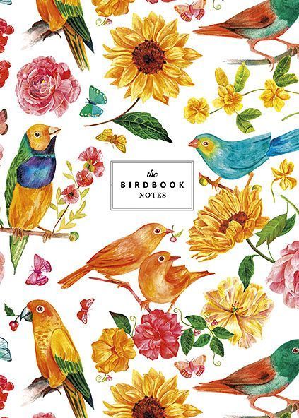 Набір 3 шт, блокнотів для записів Birdbook. Блокнот Школярик у лінію А5 50 арк. 816 A5-GB-050-816K 4823088200409 4823088200409 фото