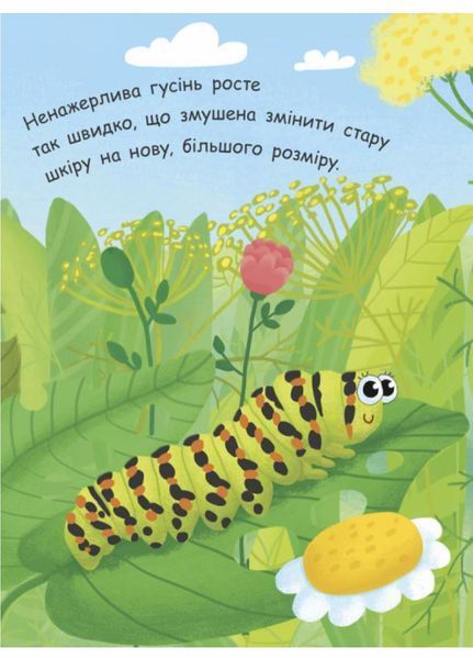 Моя перша енциклопедія : Як народжується метелик? Автор Конопленко І., Л807010У 9789667488352 9789667488352 фото