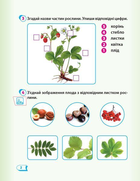 РЗ Я досліджую світ. 1 кл. у 2 ч. Ч. 2. До підр. Гільберг 9786170954220 фото