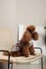 Сукня Pet Fashion Amelia для собак М 4823082446452 PR244645 фото 3
