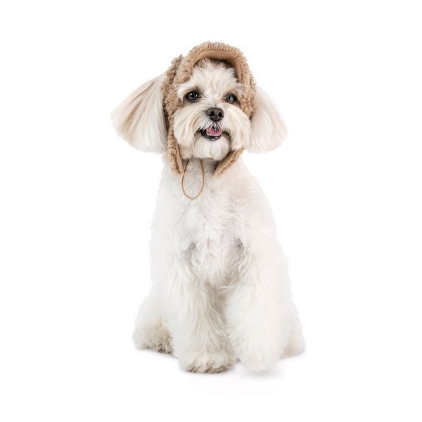 Шапка Valley Pet Fashion для собак розмір ХS бежева 4823082442478 4823082442478 фото