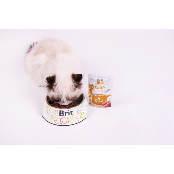 Корм вологий Brit Care Soup Duck для котів суп з качкою 75 г 101056 фото