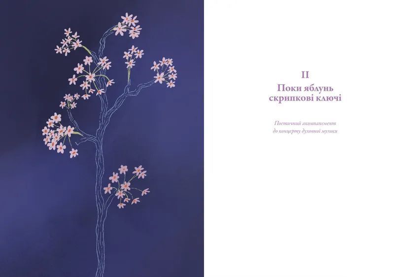 Книга ...якщо не тепер? Автор - Ольга Ольхова 9789664483176 фото