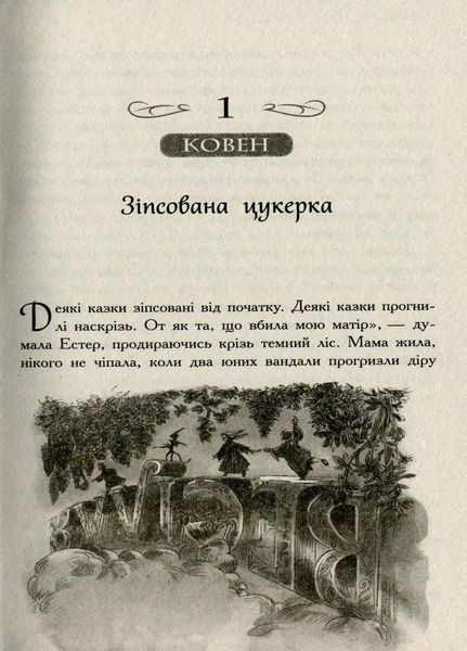 Школа Добра і Зла. Єдиний Істинний король.Книга 6. Чейнані Зоман. Тверда обкладинка. Ч681006У 9786170972545 9786170972545 фото