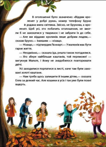 Книга Рік на Бузиновій вулиці : Осінь на Бузиновій вулиці. Автор Мартіна Баумбах С1216004У 9786170969187 9786170969187 фото