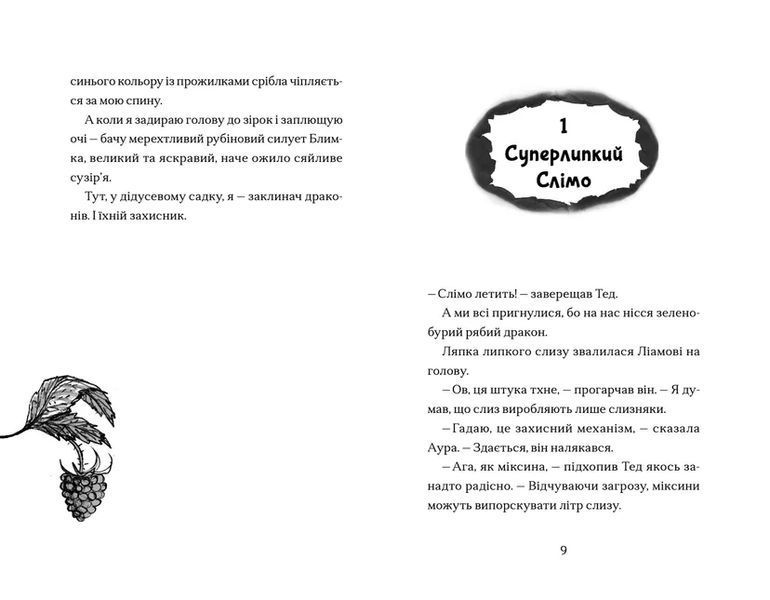 Книга Хлопчик, який співав з драконами. Книга 5. Автор - Енді Шепард (ВСЛ) 9789664482797 фото
