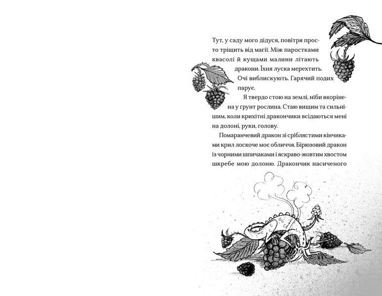 Книга Хлопчик, який співав з драконами. Книга 5. Автор - Енді Шепард (ВСЛ) 9789664482797 фото