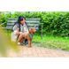 Шлея Trixie CityStyle H-harness для собак бавовна S&ndash;M 42&ndash;60 см 15 мм світло-зелена 4053032682610 4053032682610 фото 4