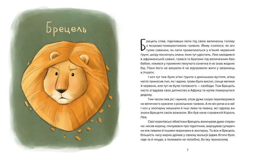 Книга Єнот Ракета та інші герої. Автор - Євгенія Завалій 9789664481868 фото