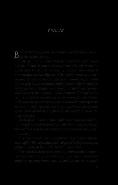 Книга Апельсин у калюжі. Автор - Людмила Баран 9786171704909 9786171704909 фото