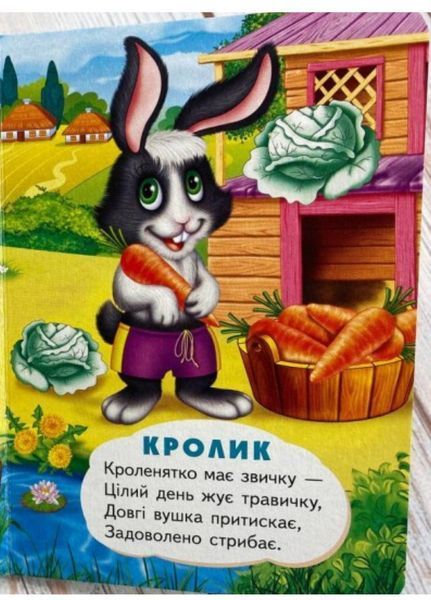 На селі. Про свійських тварин для найменших 9789664669952 фото