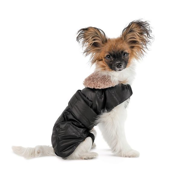Попона Pet Fashion Ted для собак чорний/сірий XS2 4823082443178 4823082443178 фото