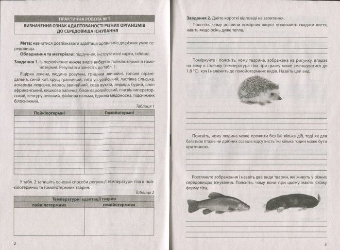 Біологія і екологія 11кл Зошит для практикуму. Рівень стандарту 9789669451057 фото