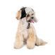 Шапка Bubo Pet Fashion для собак розмір M чорна 4823082442423 4823082442423 фото 2