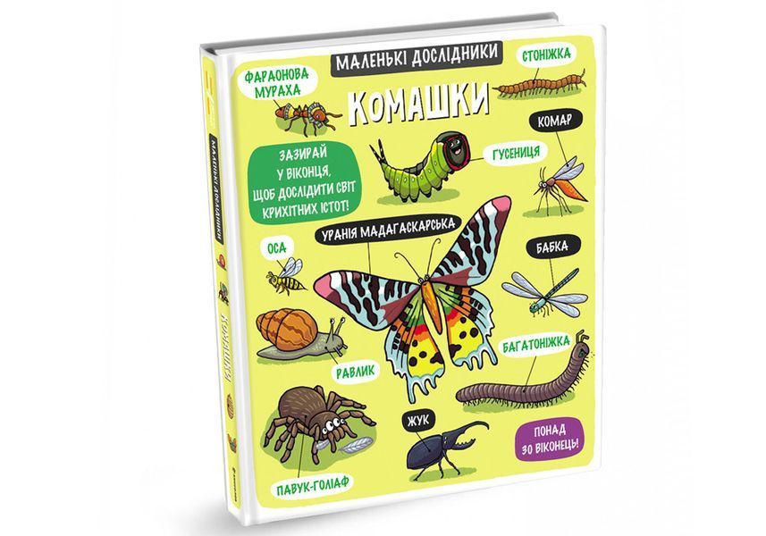 Маленькі дослідники Комашки. ТВЕРДА ОБКЛАДИНКА! Автор Helen Chapman 9786177563845 фото