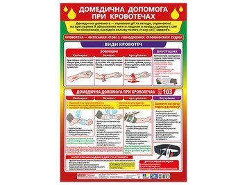 Плакат Домедична допомога в разі зупинки дихання і припинення серцевої діяльності Ранок 10113150У 4827476988511 4827476988511 фото