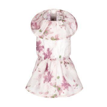 Сукня Pet Fashion Amelia для собак XS 4823082446421 PR244642 фото