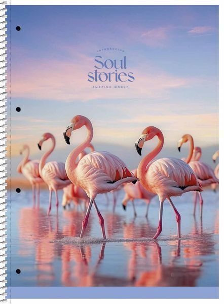 Набір 2 шт. коледж блоків soul stories. Коледж блок Школярик А4 80 арк. у клітинку 6711 A4-080-6711K 4823088241266 4823088241266 фото