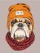 Полотно на картоні з контуром, &bdquo;Pop Art Cool Dog&ldquo;, 30х40, бавовна, акрил, ROSA START GPA284314 4823098512233 4823098512233 фото 1