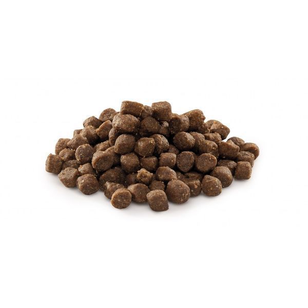 Корм сухий Brit Premium Dog Junior S для молодих собак дрібних порід від 1 до 12 місяців вагою 1-10 кг з куркою 3 кг 8595602526260 170807/6260 фото