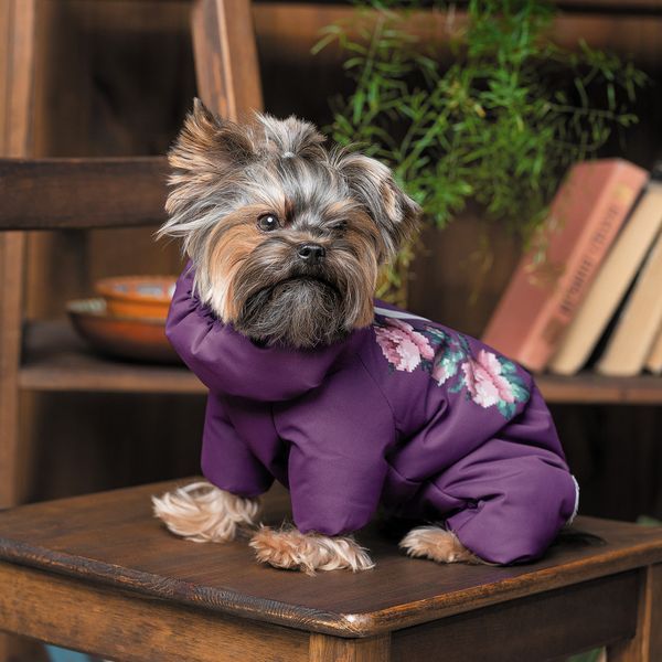 Костюм Pet Fashion LOLA для собак бузковий XS2 4823082432424 4823082432424 фото