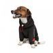 Худі Pet Fashion Snoodie для собак чорна S 4823082423415 4823082423415 фото 2