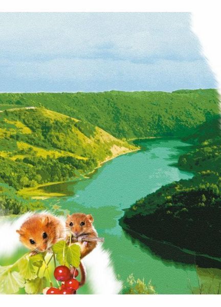Книга Читаю про Україну : Парки та заповідники. Автор Каспарова Ю. С366018У 9786170981332 9786170981332 фото