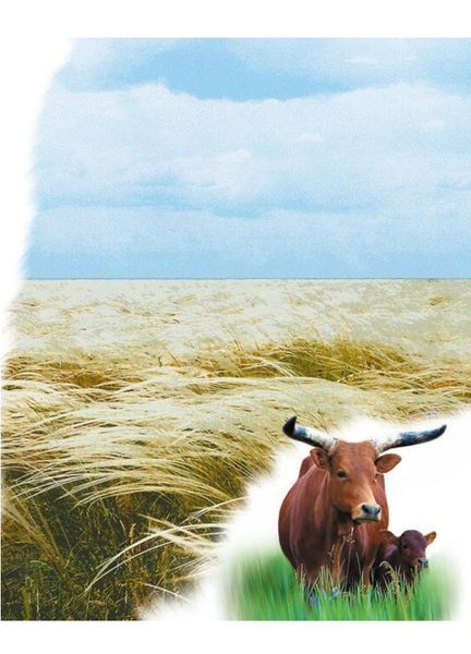 Книга Читаю про Україну : Парки та заповідники. Автор Каспарова Ю. С366018У 9786170981332 9786170981332 фото