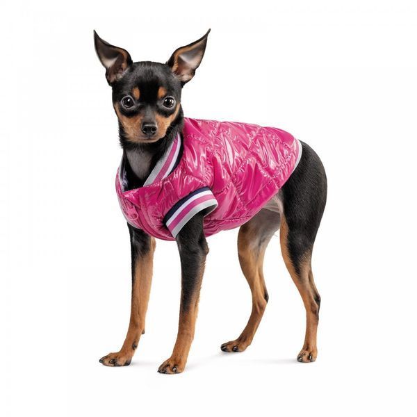 Бомбер Pet Fashion Grace для собак S 4823082430161 4823082430161 фото