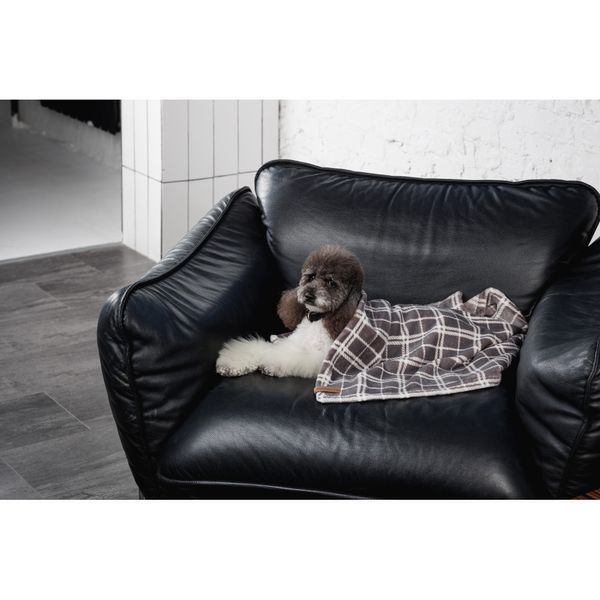 Плед Pet Fashion Bliss 2 для собак і котів плюш сірий картатий 70.5х94 см 4823082441310 4823082441310 фото