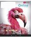 Комплект 5 шт загальних зошитів Online. Зошит Школярик 48 арк. у клітинку 3420 4820006470081 4820006470081_048-3420K фото 6