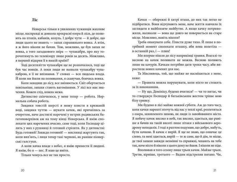 Книга Дім для Дома. Автор - Вікторія Амеліна (ВСЛ) 9786176794165 фото