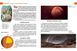 Енциклопедія "Таємничий космос" Талант Тверда Обкладинка Автор Галина Железняк 9789669358172 фото 6