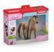Набір іграшкових фігурок Schleich Ахалтекінський жеребець з аксесуарами (6903306) 4059433712635 4059433712635 фото 3