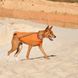 Жилет Pet Fashion E.Vest для собак помаранчевий XS 4823082424276 4823082424276 фото 4