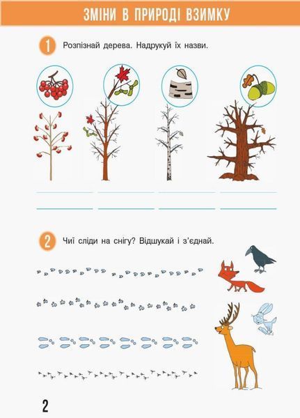 НУШ Я досліджую світ. 1 клас. Робочий зошит до підручника Н. М. Бібік ЧАСТИНА 2 Т530215У 9786170946751 306734 фото