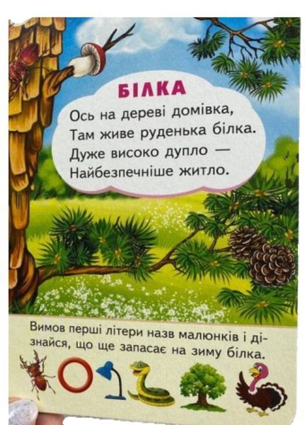 Хто де живе. Цікаве для найменших 9789664665169 фото