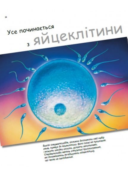 Генетика для дітей : X та Y, дівчинка або хлопчик? С1354004У 978-617-09-6991-0 Автор Патрік А. Боерле 9786170969910 фото