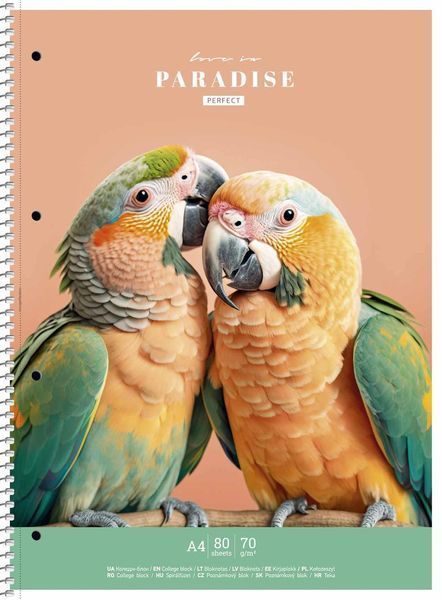 Набір 2 шт. коледж блоків Love in paradise. Коледж блок Школярик А4 80 арк. у клітинку 6712 A4-080-6712K 4823088241273 4823088241273 фото